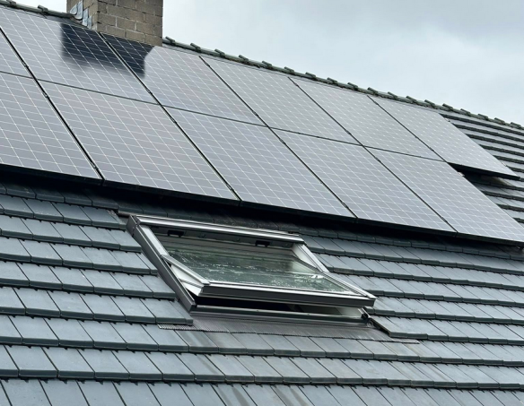 Dak laten vernieuwen Sint-Niklaas, Oost-Vlaanderen